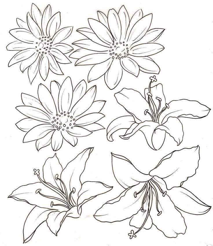 Plansa de colorat cu Liliac 60 57